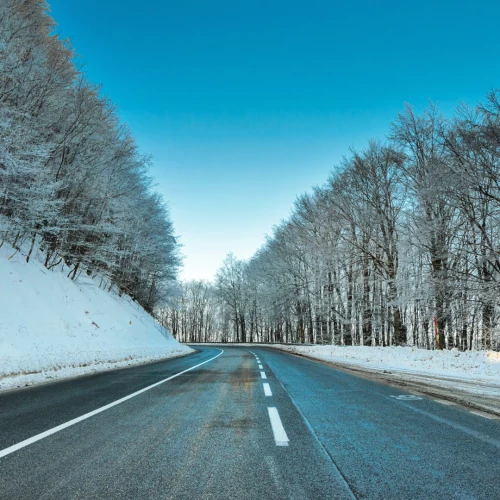 Winter Safety Check Only £29.99