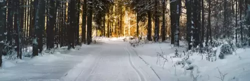 30 Point Winter Safety Check